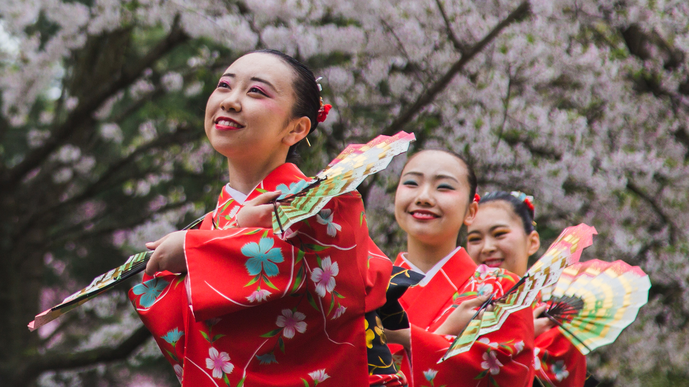 Cherry Blossom Festivals in Japan in 2024